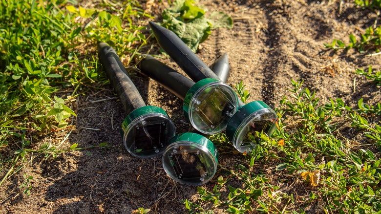 A collection of solar-powered ultrasonic devices on ground