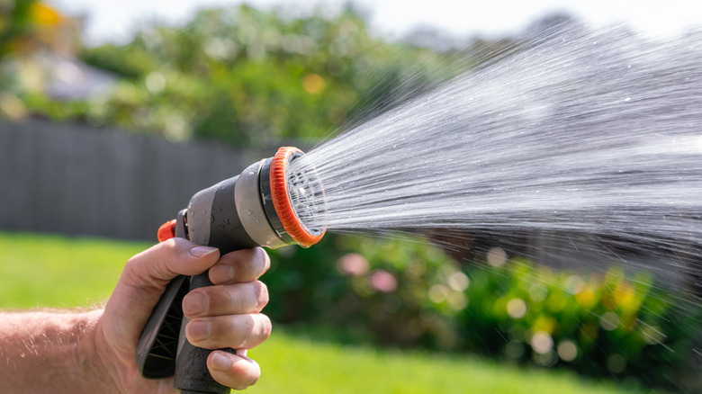 A person holding a garden hose and spraying water