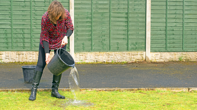 Hand holding a spray bottle with plants in background