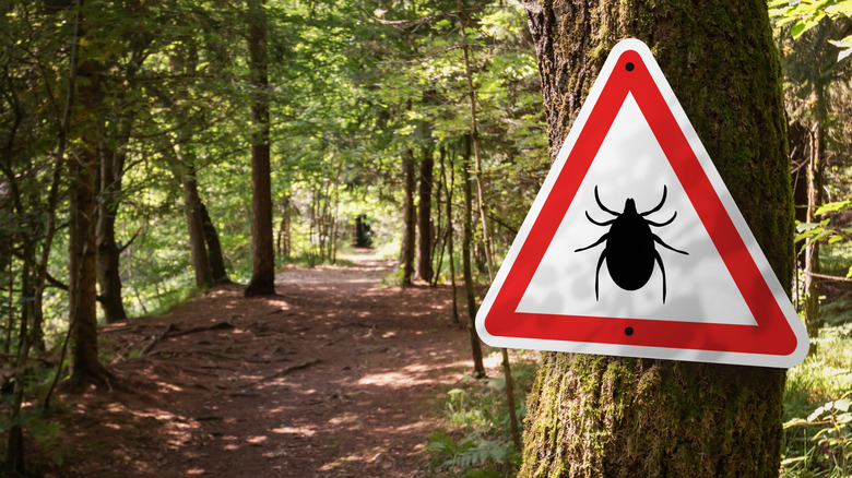 Tick warning sign outside forest trail