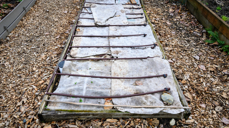 burlap sacks on garden bed with sticks holding them down