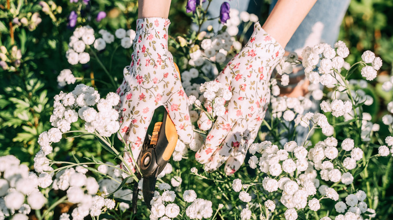 A person with white floral garden gloves pruning