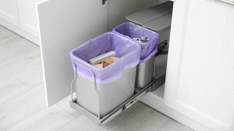 Trash cans in cabinet