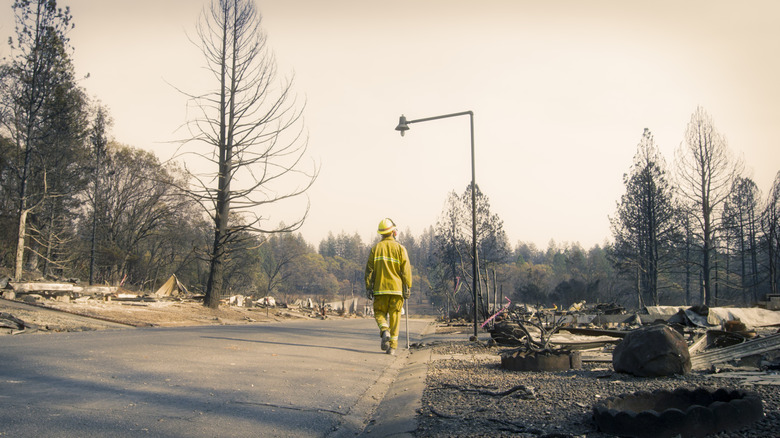 Lone firefighter surveys neighborhood where every home burned down
