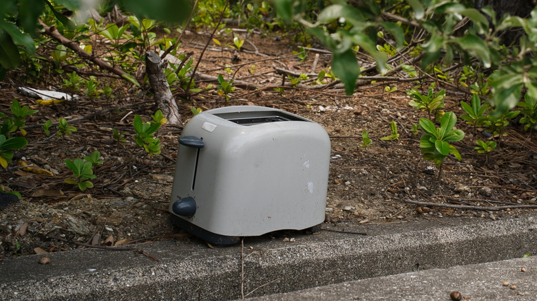 A white toaster illegally dumped on the side of the road near trees