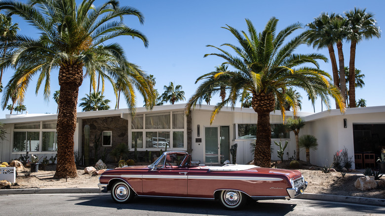 mid century modern home with palm trees