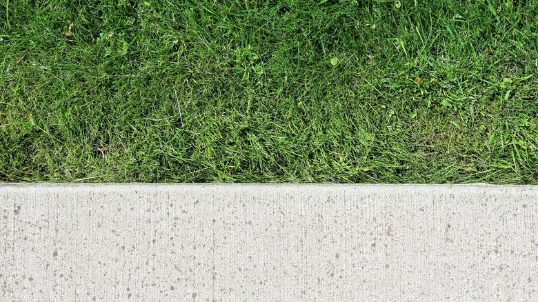 Overhead shot of mowed grass lined up with a straight concrete mowing strip