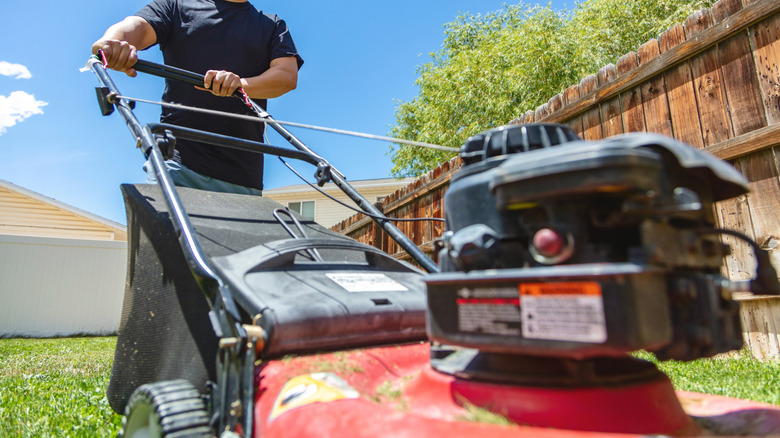Man pushing a lawn mower on a sunny day