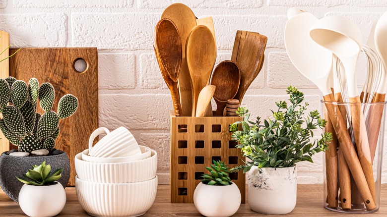 Wooden spoons with plants