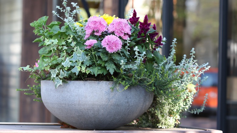Bowl shaped planter with flowers