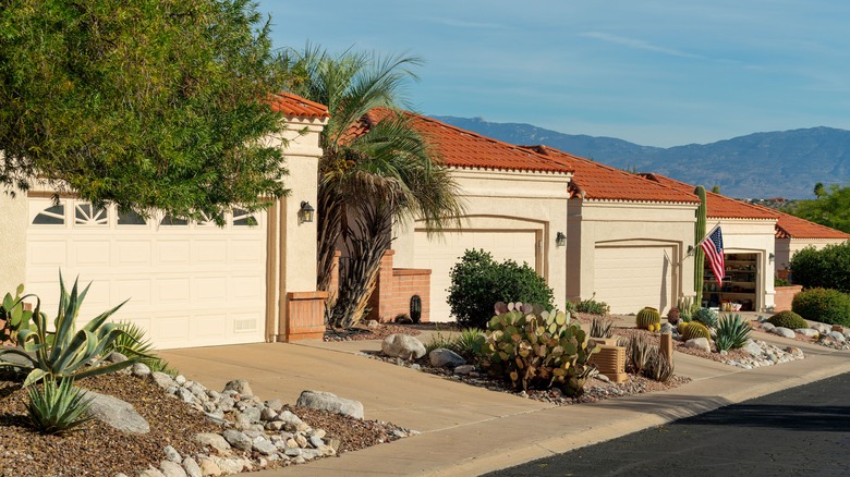 Suburban houses in a desert region have xeric landscaping.