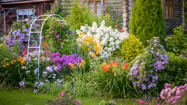 An ornamental garden in front of a log cabin