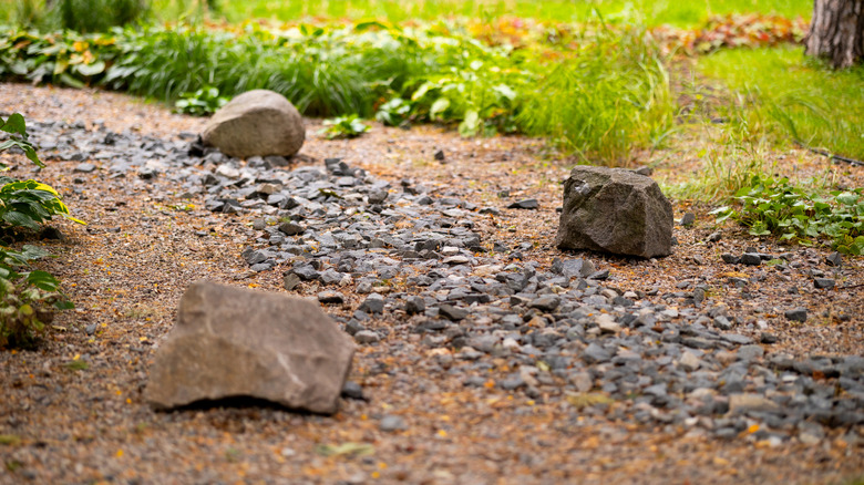A rain garden lined with different types of gravel, rocks, and plants