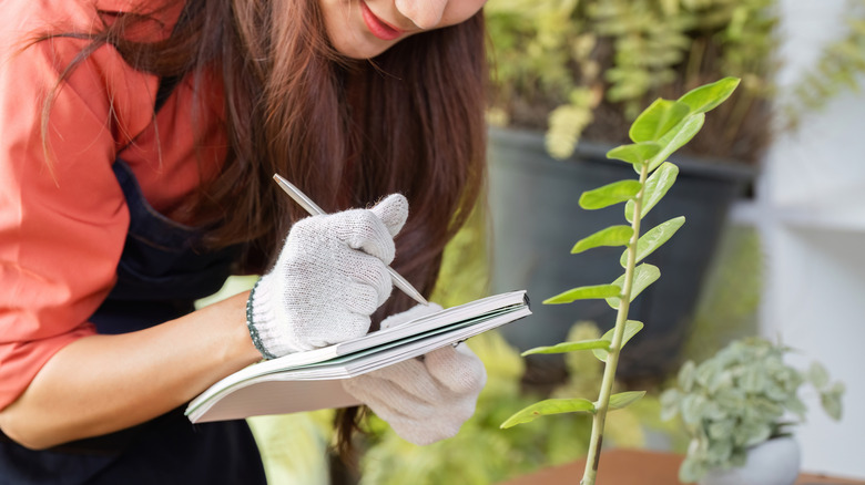 A woman writing about her plants.