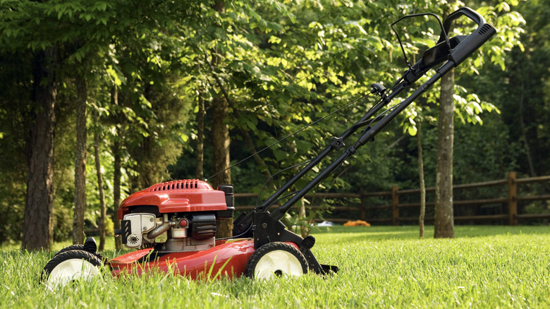 A lawnmower sitting on a large lawn area in a backyard