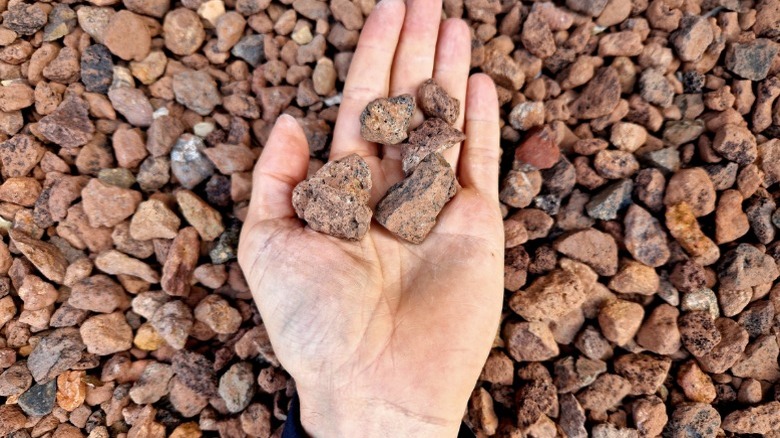 Rough lava rock to use for landscaping