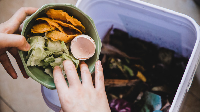 A person gathering food scraps for composting.