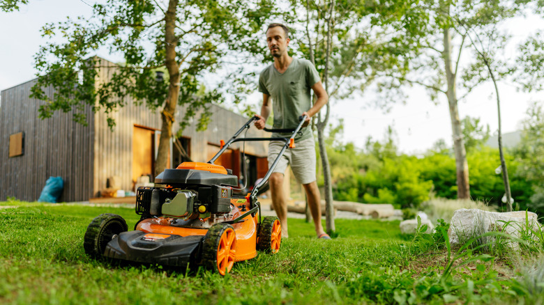 Man mowing the lawn with an gas push mower