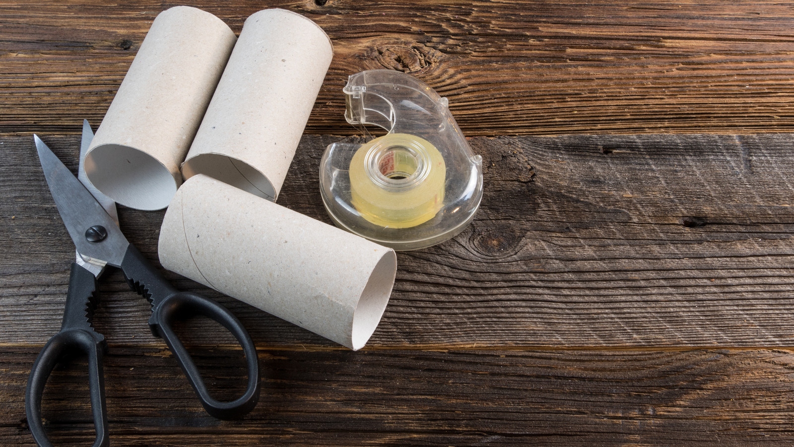 A Simple Toilet Paper Roll Is The Secret To WrinkleFree Clothes