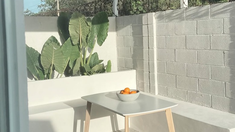 Patio space styled with stucco wall and benches.