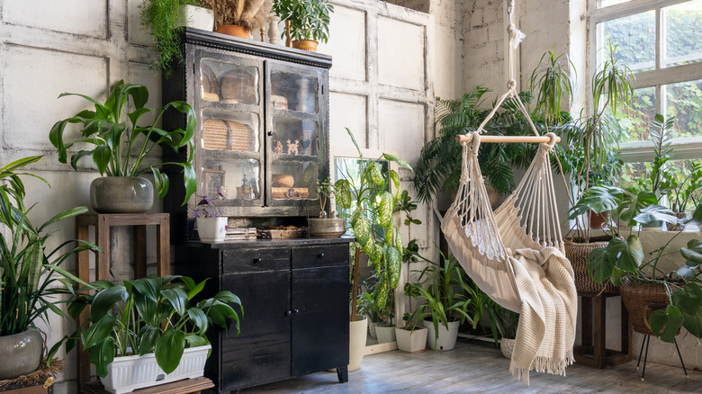 A bright living room filled with plants of all sizes, a wooden display unit and a hammock chair