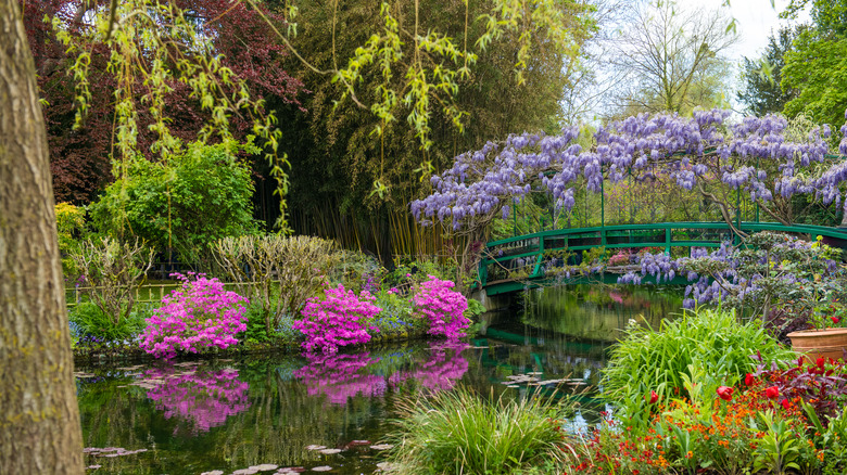 Purple flowers and trees surround a pond