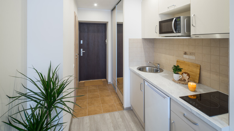 micro apartment kitchen and hallway