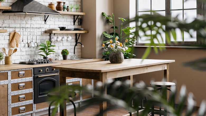 A bright kitchen decorated with houseplants