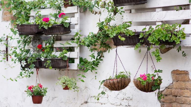 pallets and baskets with flowers