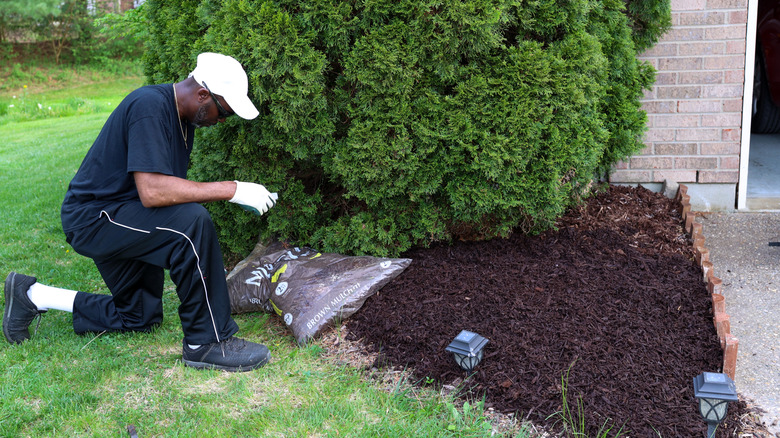 Man spreading mulch in a yard.