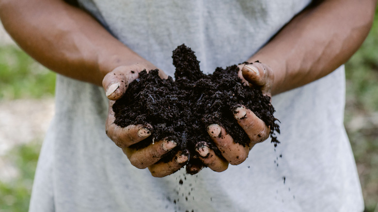 Man holding soil in garden