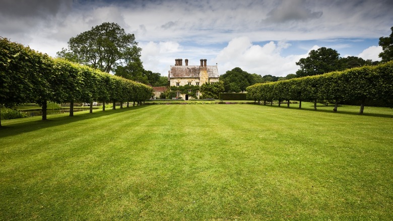 A large lawn is flanked by neatly maintained trees