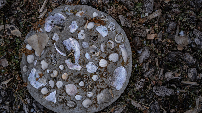 A stepping stone with seashells embedded into it.