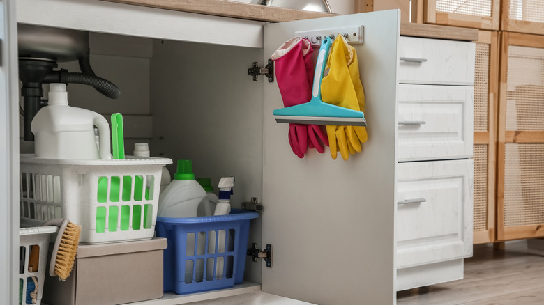 Cleaning supplies in a cabinet under the kitchen sink