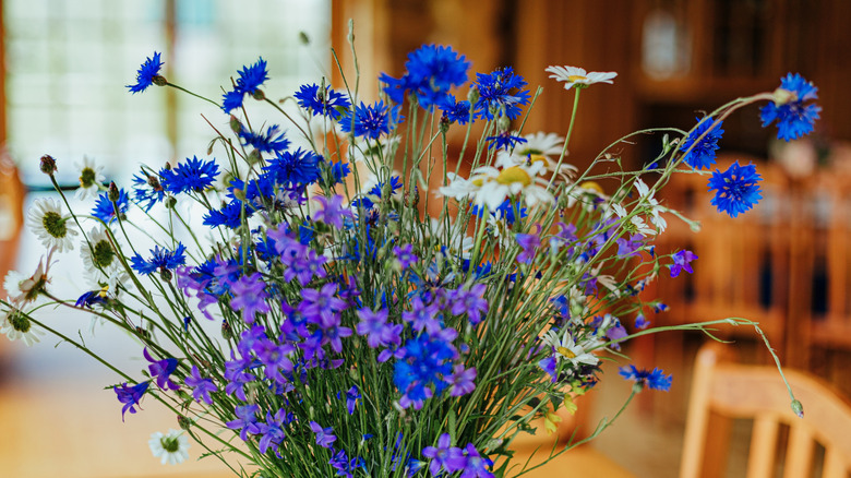Hand-picked blue and white flowers in a vase