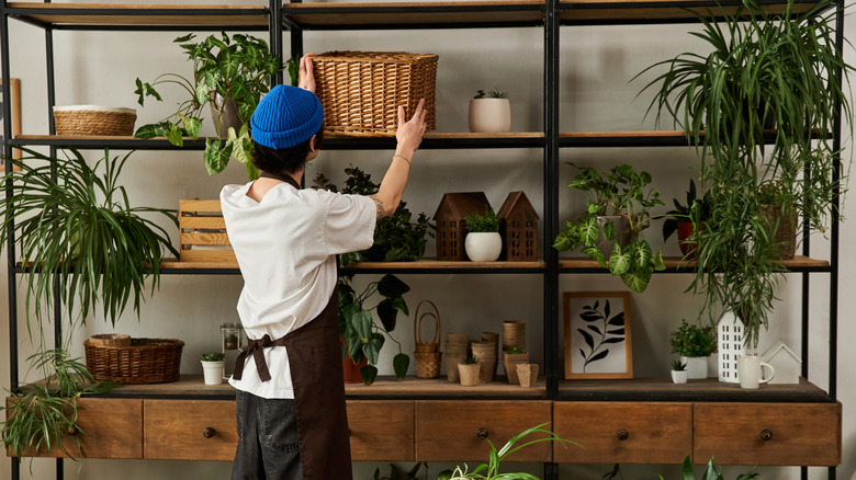 person putting basket on shelf with plants and other decor