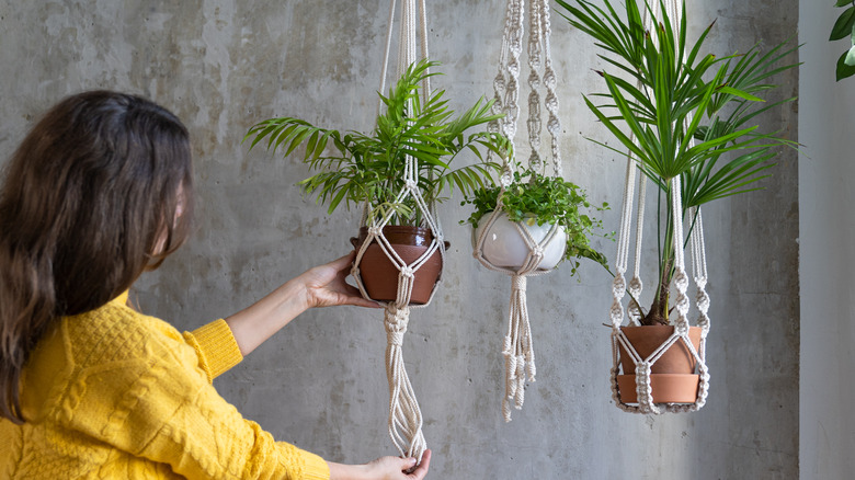 Woman admiring hanging macrame planters