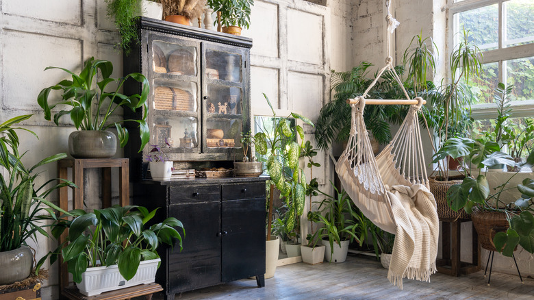 whimsical room of plants