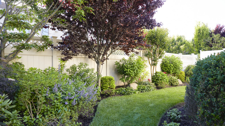 A beautifully landscaped back garden with lots of different trees and shrubs