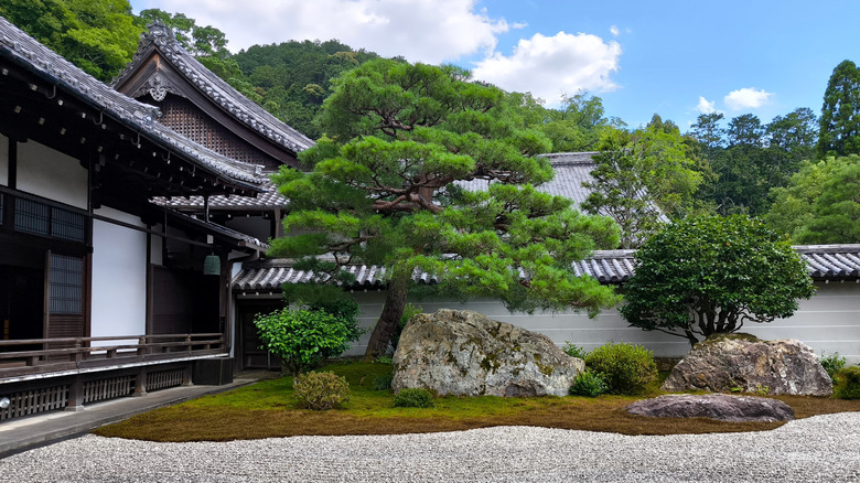 A zen, dry garden in Japan showcases trees growing alongside raked gravel fields.