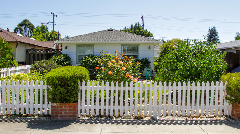 A small, suburban yard is lined with white picket fences and box shrubs.