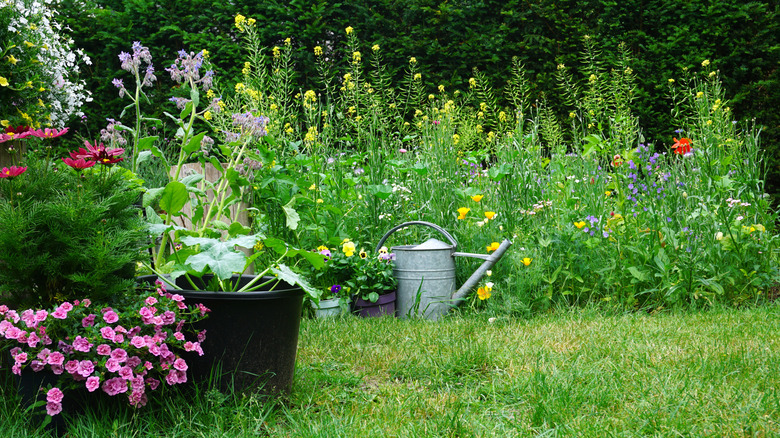 Garden with various flowers, grass, and watering can