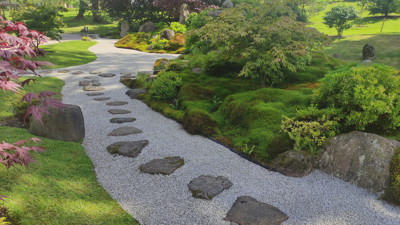 A Japanese-inspired garden with a stepping stone path.