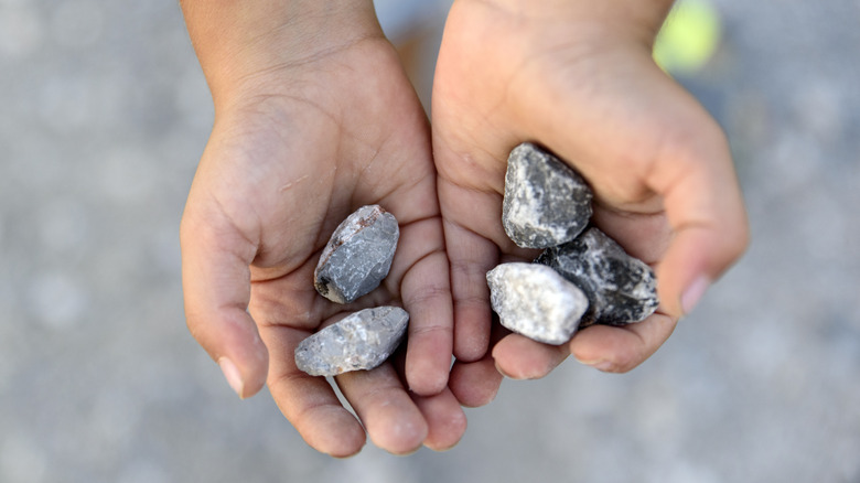 A person holds stones in their hands