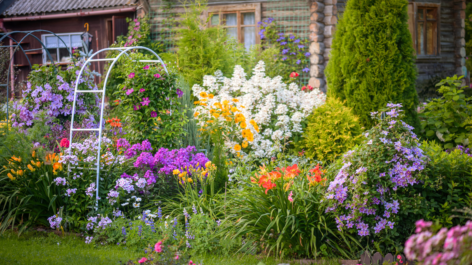 Add Privacy To Your Yard With A Dreamy Tall Flower That's Easy To Grow