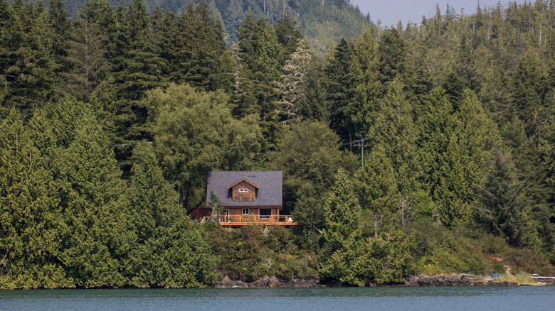 A house surrounded by a Douglas-fir forest