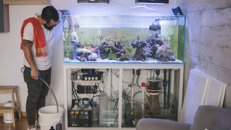 Emptying fish tank