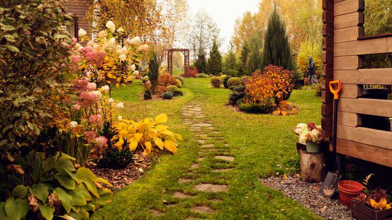 Fall landscaping with hydrangeas and hostas