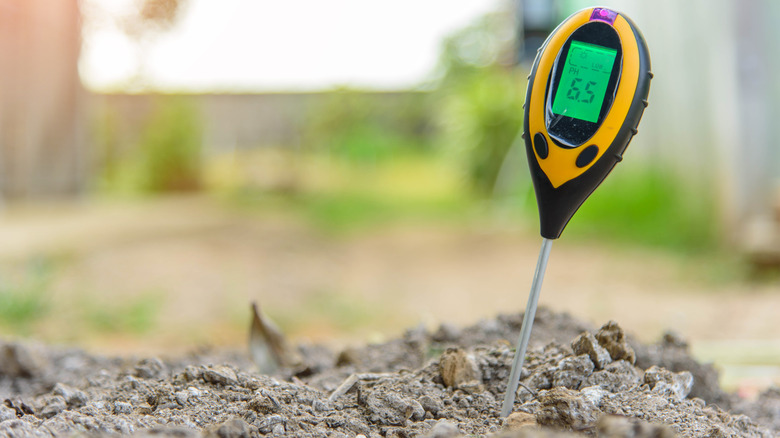 soil P.H testing kit