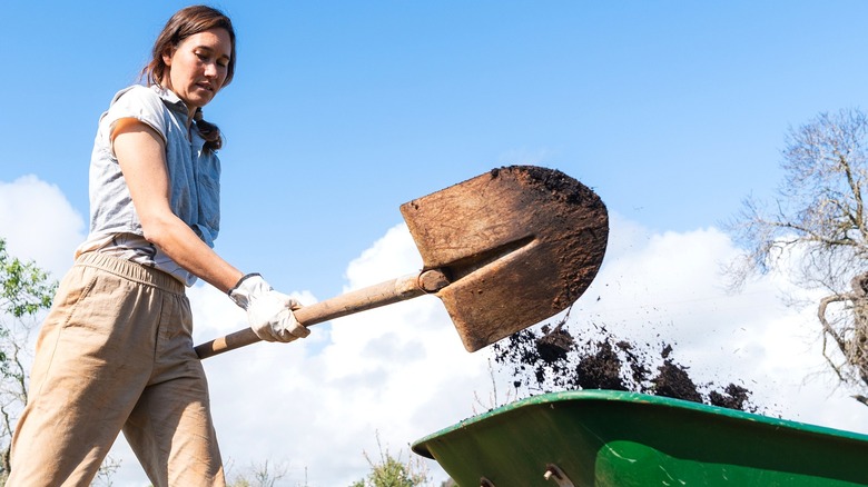 A person shovels organic matter into a green wheelbarrow